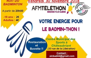 Nuit du Badminton