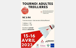 Tournoi Adultes : Treillières